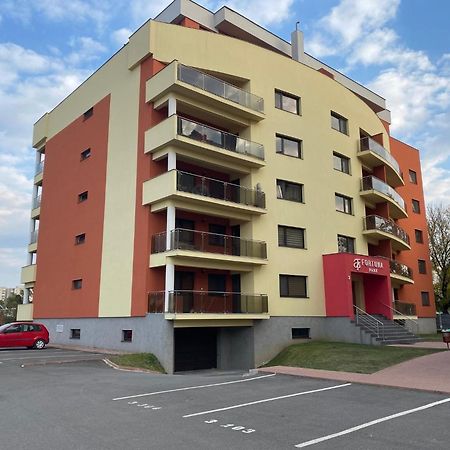 Studio Fortuna Park Sfantu Gheorghe  Exterior photo